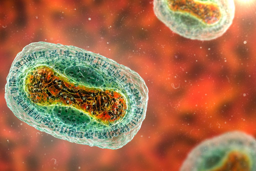Mpox (antigo Monkeypox): Compreendendo a Infecção, Sintomas, Tratamento e Prevenção